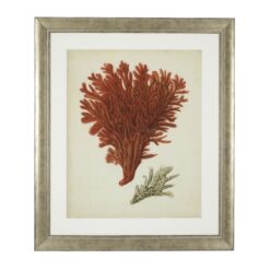 Набор из шести постеров Antique Red Corals Eichholtz 