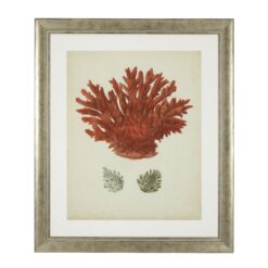 Набор из шести постеров Antique Red Corals Eichholtz 