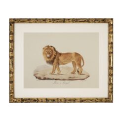 Набор из шести постеров Lion, Tiger, Jaguar Eichholtz 