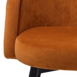 Набор из двух обеденных стульев Chloe (оранжевый) Eichholtz Оранжевый