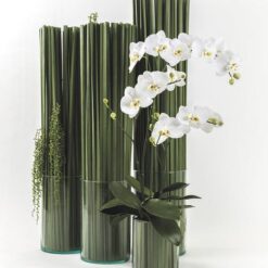 Декоративные стебли в вазе